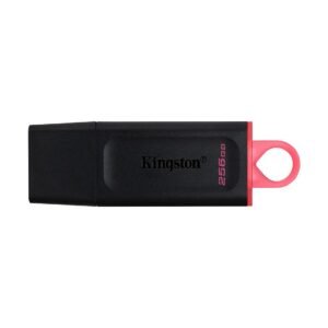 Pen Drive Kingston DataTraveler 256GB Preto e Rosa - DTX/256GBi
